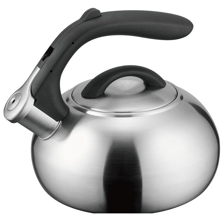 Fun 2024 tea kettle